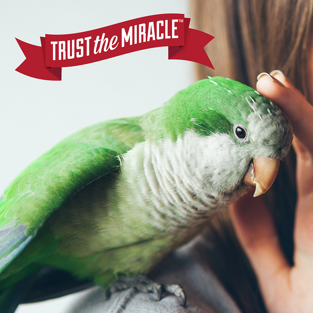 Nature's miracle bird cage 2025 scrubbing wipes